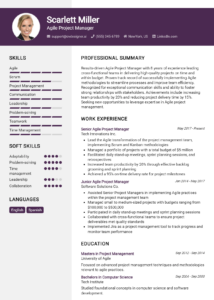12 Technical Program Manager Resume Examples And Templates for 2024 ...