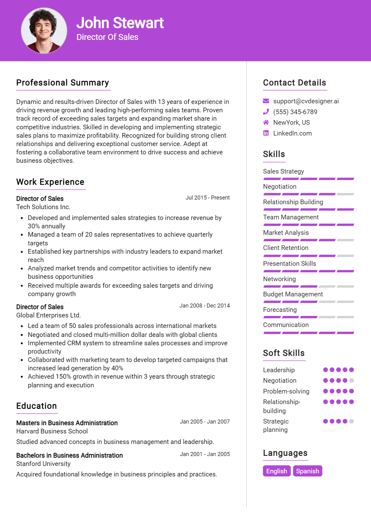 28 Store Director Resume Examples - Director Of Sales Resume Example