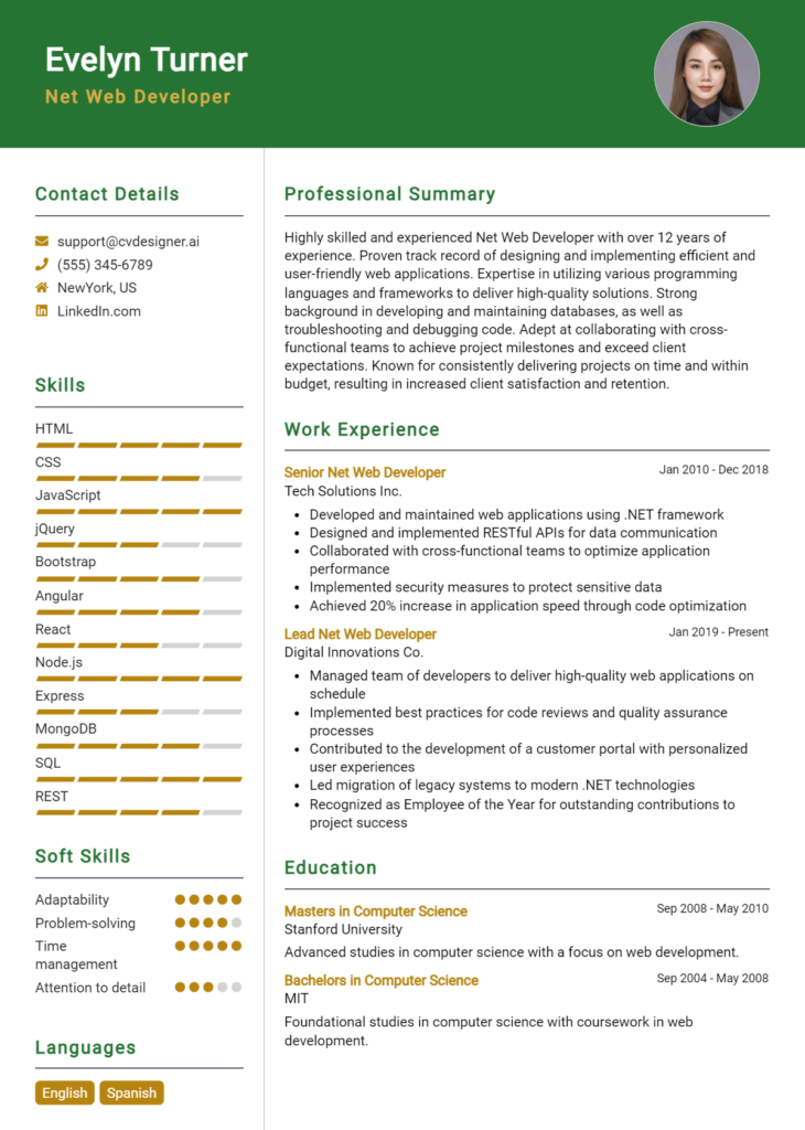 Net Web Developer Resume Example