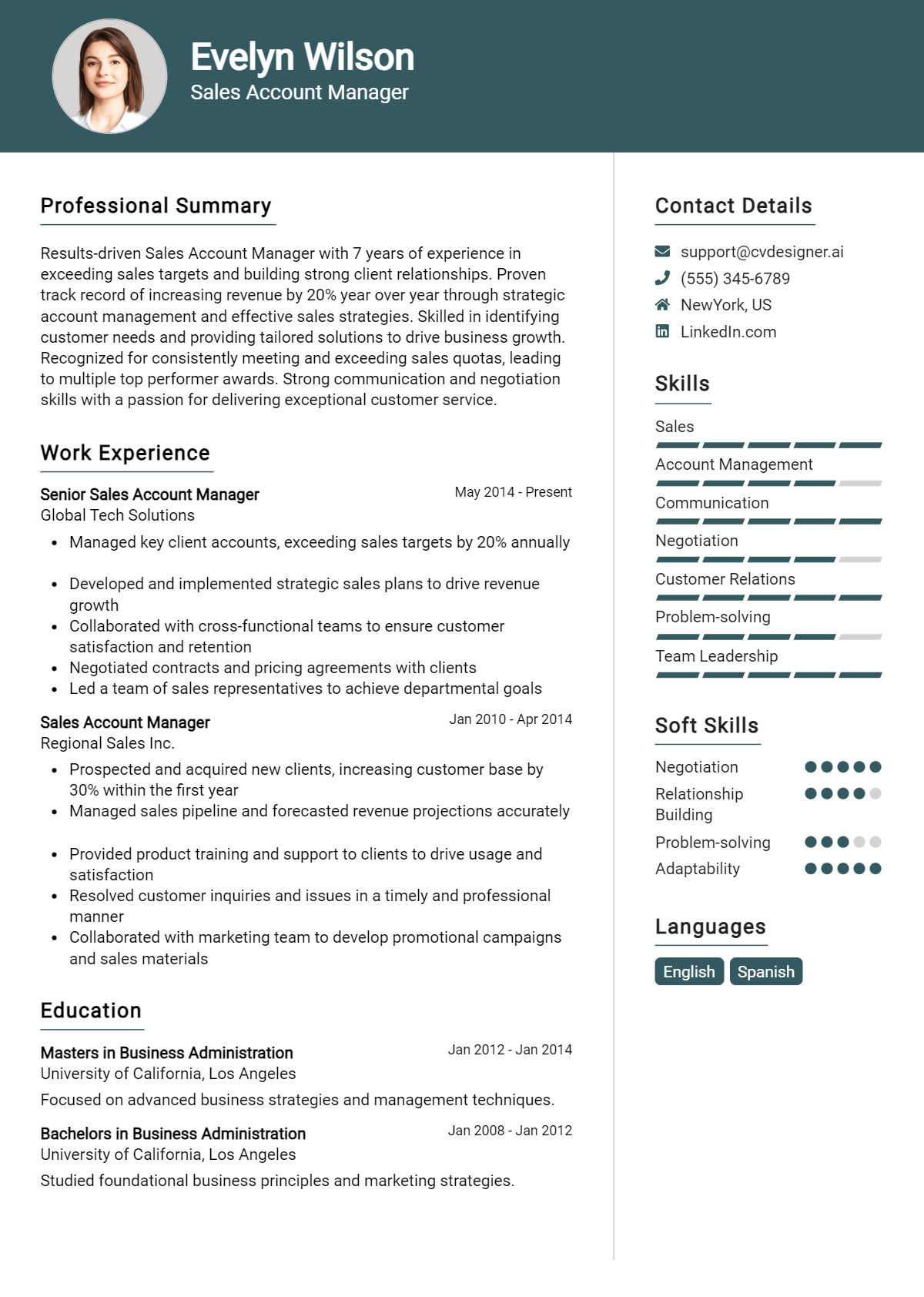 12 Sales Account Manager Resume - Sales Account Manager Resume Example 